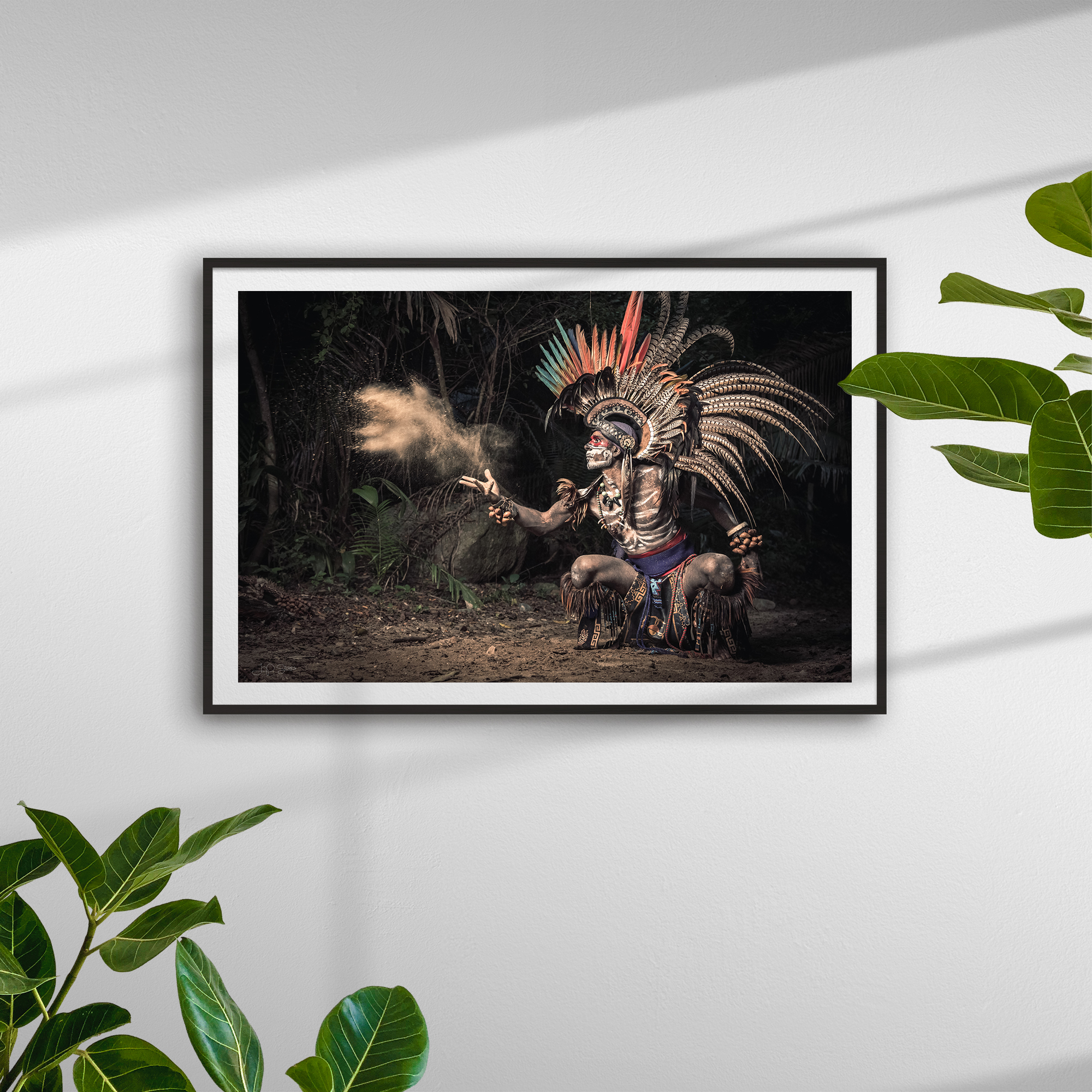 4327_frame_black_plants