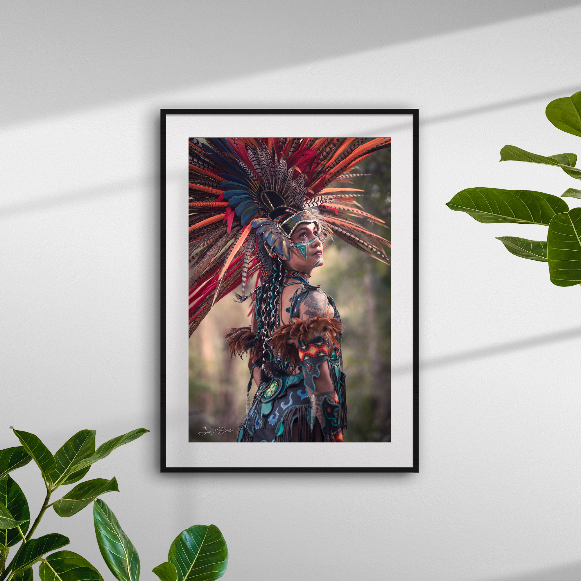 6367_plants_frame_black_both