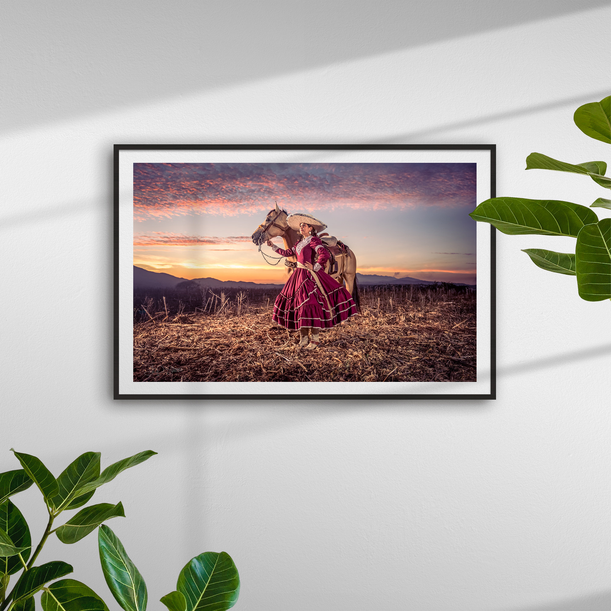 6522_plants_frame_black_both