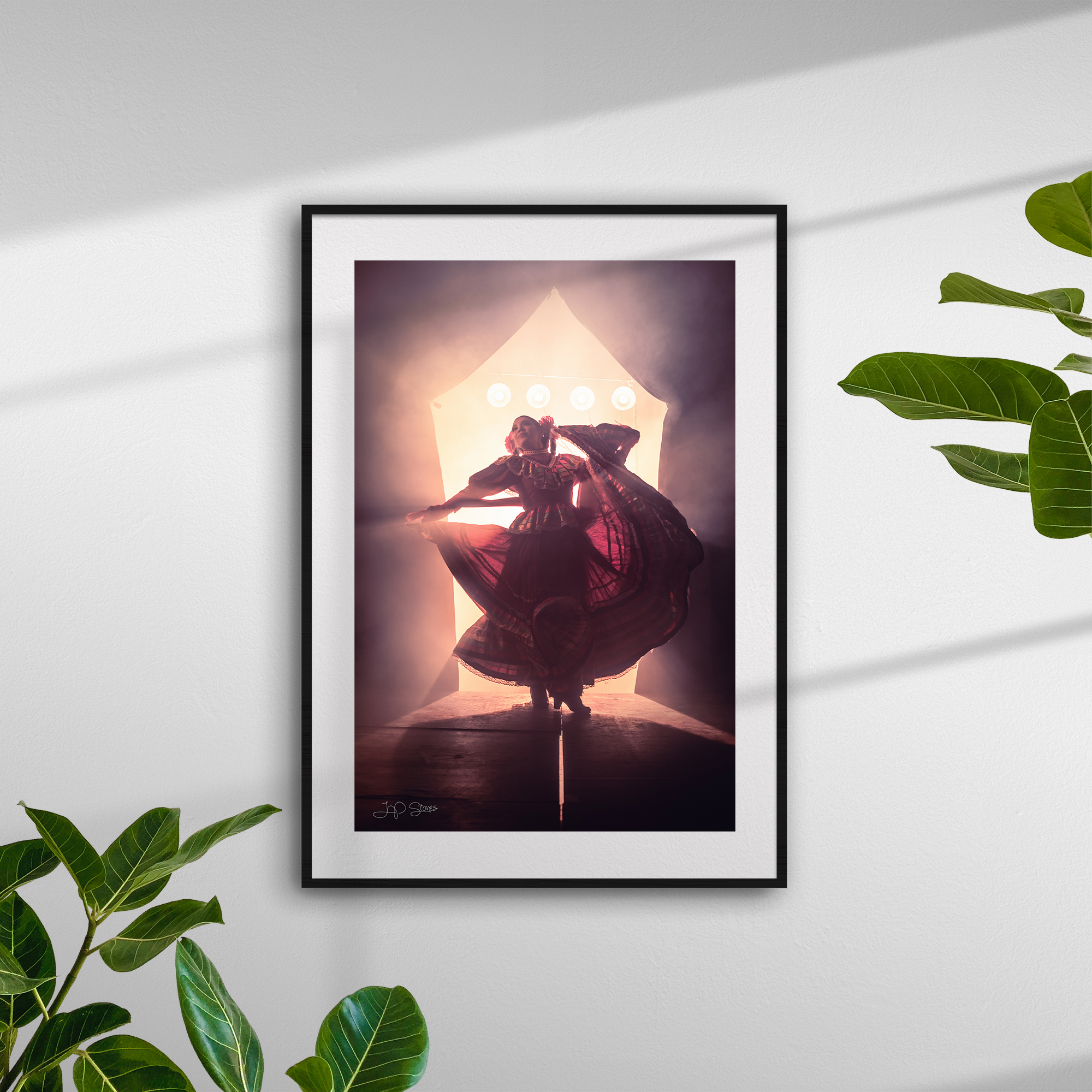 6580_plants_frame_black_both