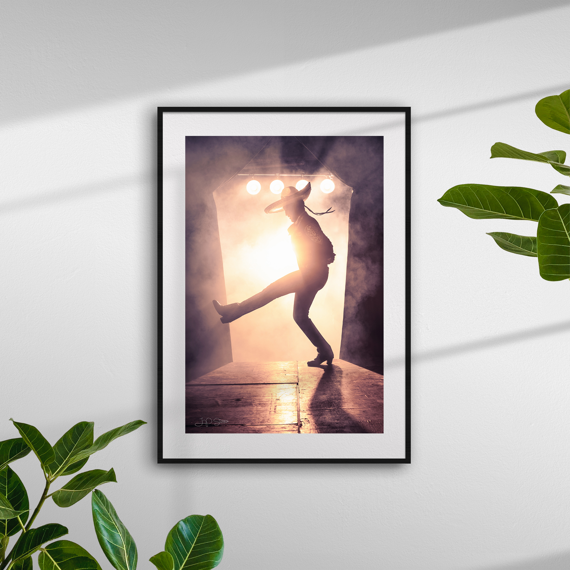 6619_plants_frame_black_both
